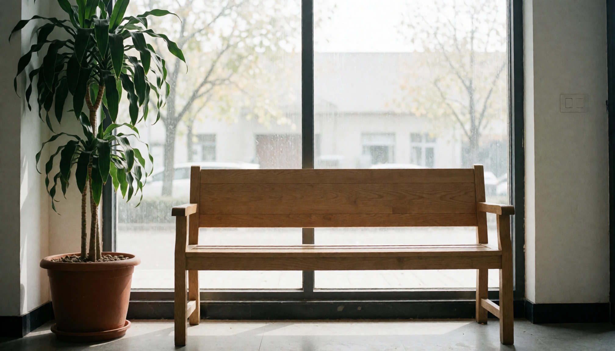 Lichte entree met houten bank en plant